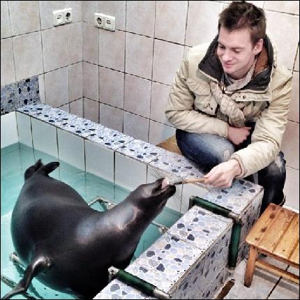 sokolovskiy_a022 (604x604, 97 kБ...)